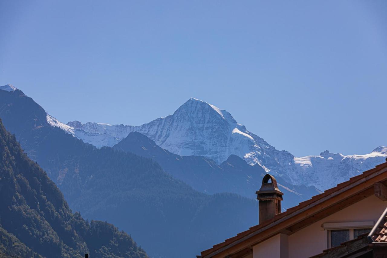 Chalet Gousweid- Harder Apartment Wilderswil Exterior foto